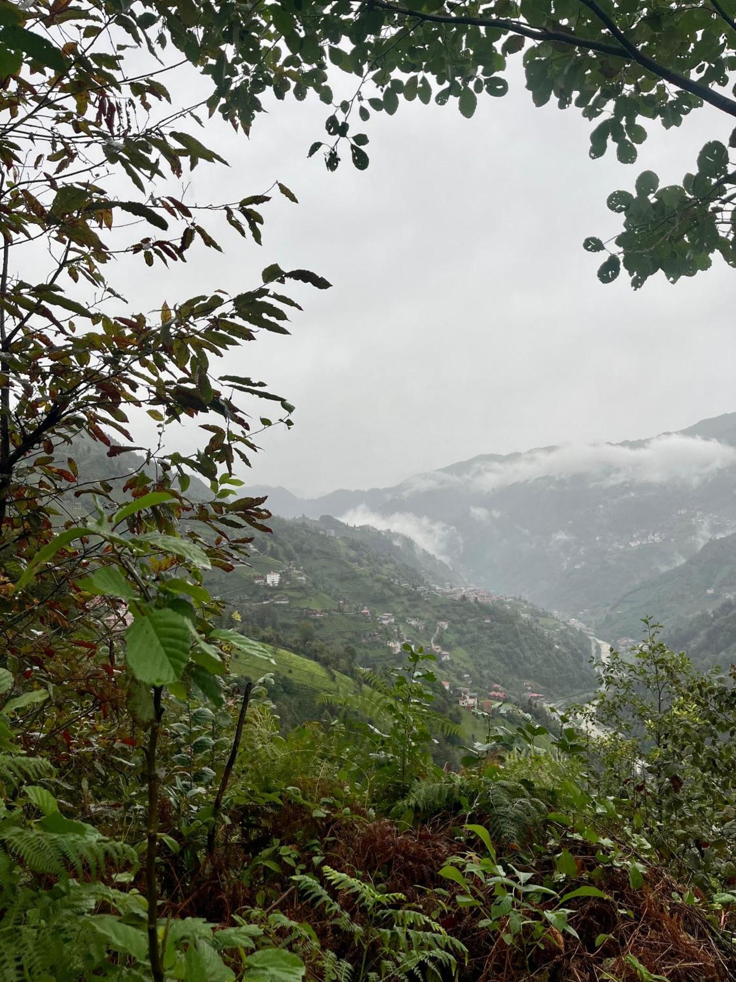Relax Dag Evleri Rezistans Ayder Dikkaya  Exterior photo