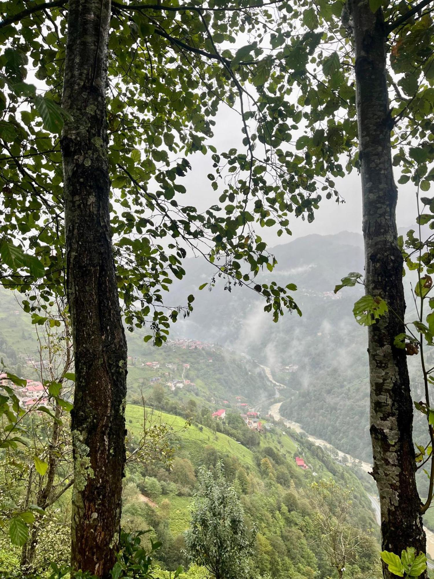 Relax Dag Evleri Rezistans Ayder Dikkaya  Exterior photo